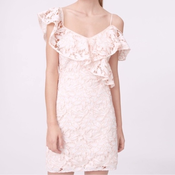 club monaco pink lace dress gmg-club-monaco-spring-dresses-9430